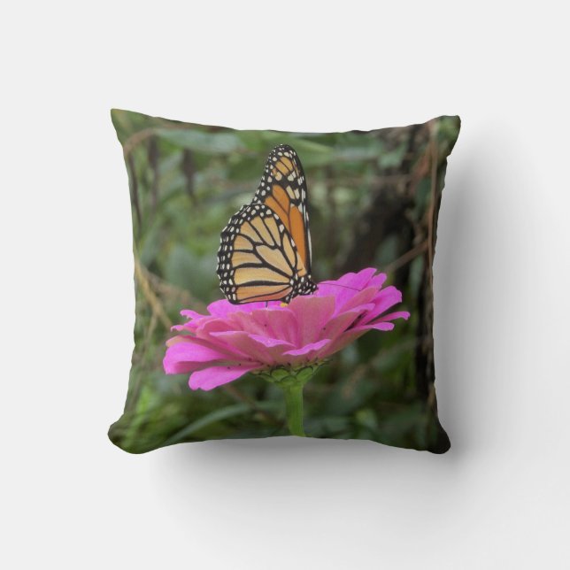 Monarch Butterfly on a Pretty Pink Zinnia Flower Cushion (Front)
