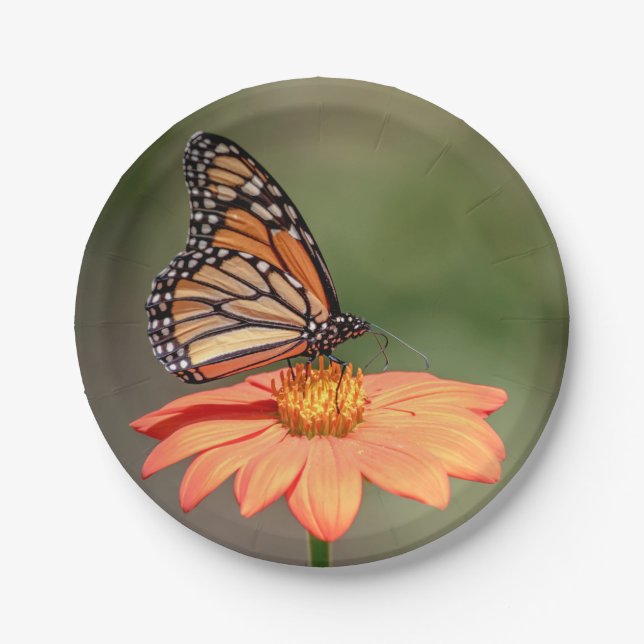 Monarch Butterfly on an orange flower Paper Plate (Front)