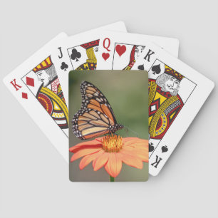 Monarch Butterfly on an orange flower Playing Cards