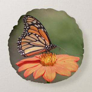Monarch Butterfly on an orange flower Round Cushion