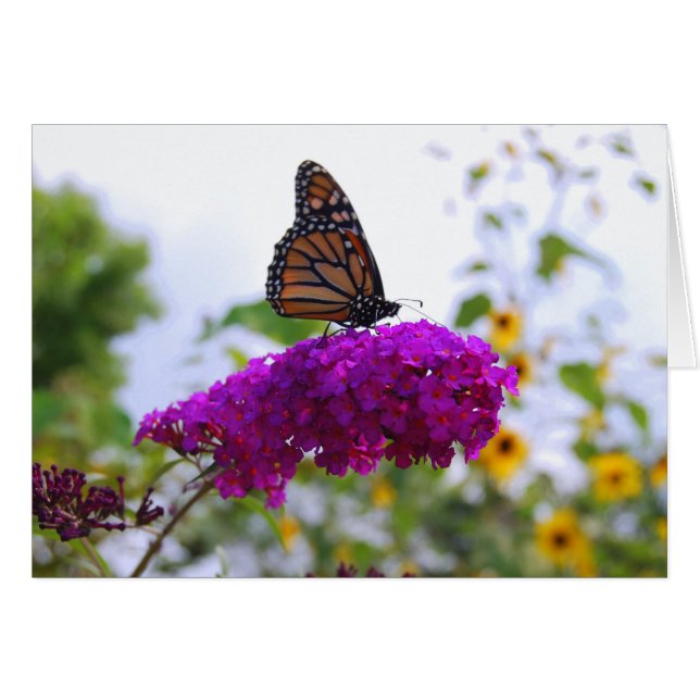 Monarch Butterfly on Butterfly Bush Card (Front Horizontal)