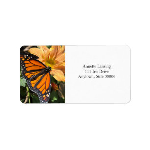 Monarch butterfly on chrysanthemum flower label