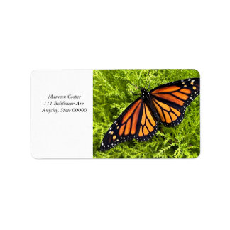 Monarch butterfly on cypress plant label