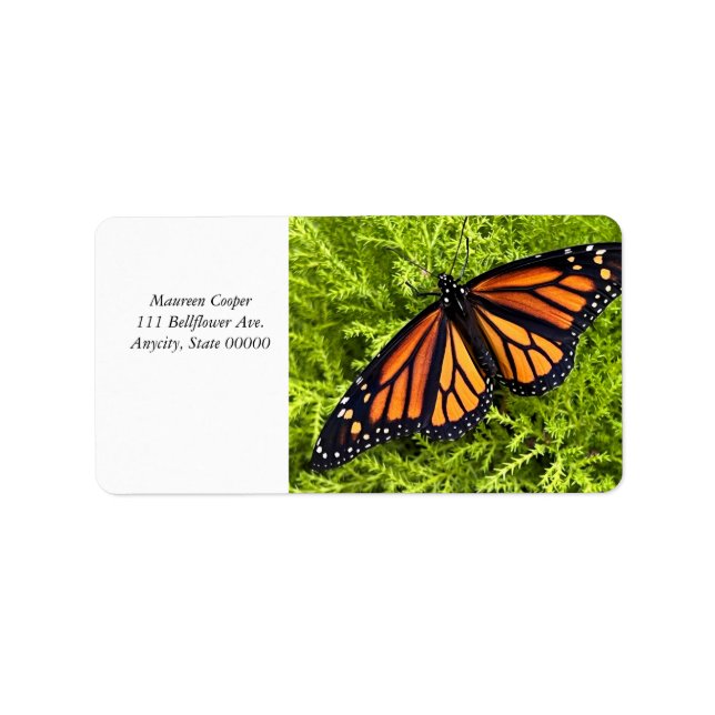 Monarch butterfly on cypress plant label (Front)