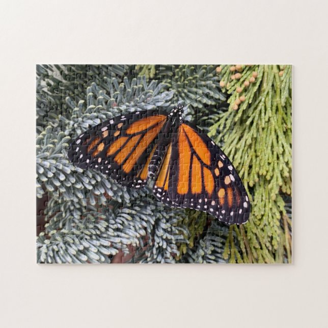 Monarch butterfly on evergreens jigsaw puzzle (Horizontal)