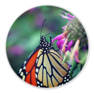 Monarch Butterfly On Flower Close Up Ceramic Knob