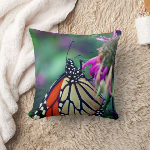 Monarch Butterfly On Flower Close Up  Cushion