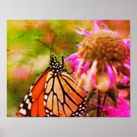 Monarch Butterfly On Flower Distressed Art