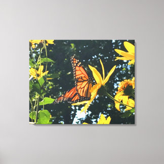 Monarch Butterfly on Flower Photograph  Canvas Print