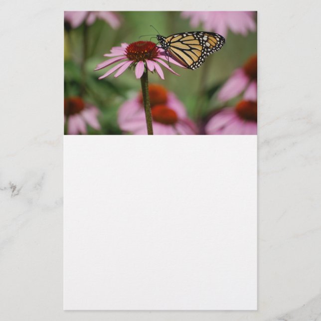 Monarch Butterfly on Flower Stationery (Front)