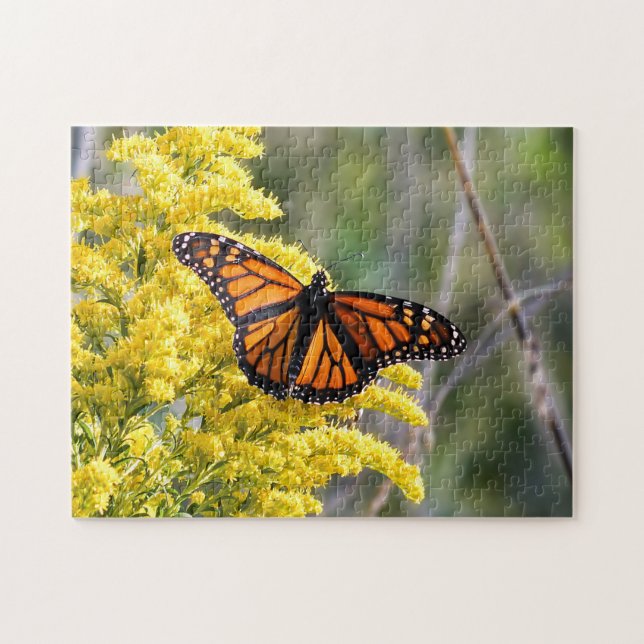 Monarch Butterfly on Goldenrod Puzzle (Horizontal)
