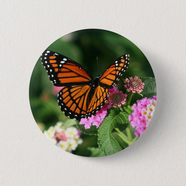 Monarch Butterfly on Lantana Flower 6 Cm Round Badge (Front)