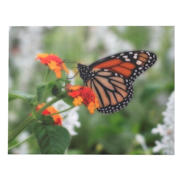 Monarch Butterfly on Orange and Red Lantana Notepad (Front)