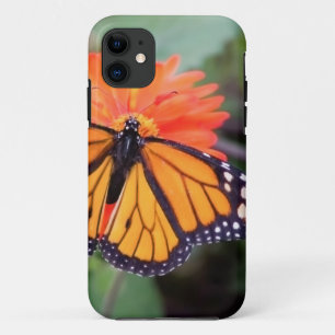 Monarch butterfly on orange flower iPhone 11 case