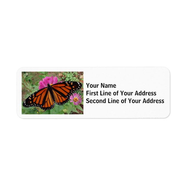 Monarch Butterfly on Pink Flower (Front)
