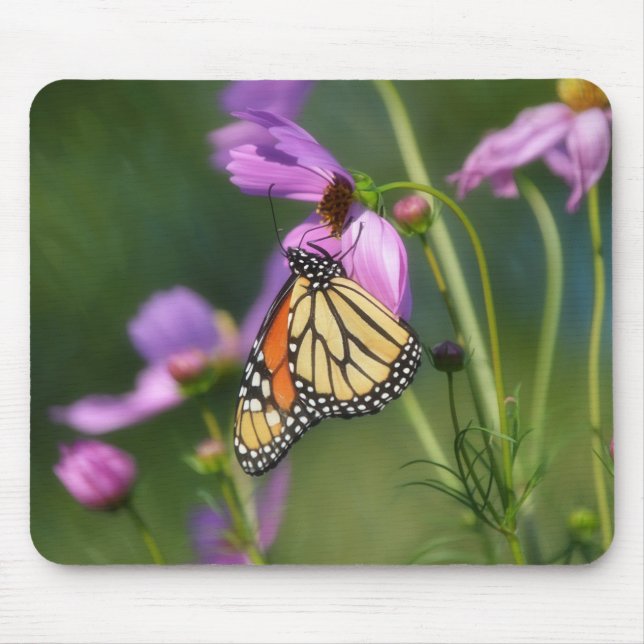 Monarch Butterfly On Pink Flowers Mousepad (Front)