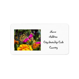 Monarch Butterfly on pink marigold-address label