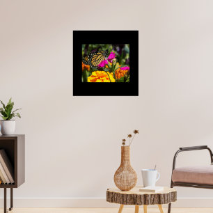 Monarch Butterfly on Pink Marigold Flower Poster