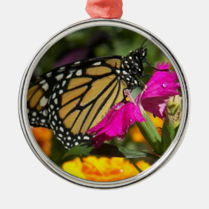 Monarch Butterfly on pink marigold-round ornament