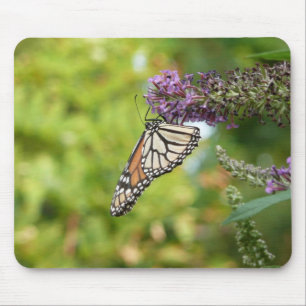 Monarch Butterfly on Purple Butterfly Bush Mouse Mat