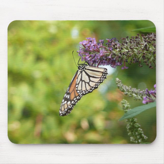 Monarch Butterfly on Purple Butterfly Bush Mouse Mat (Front)