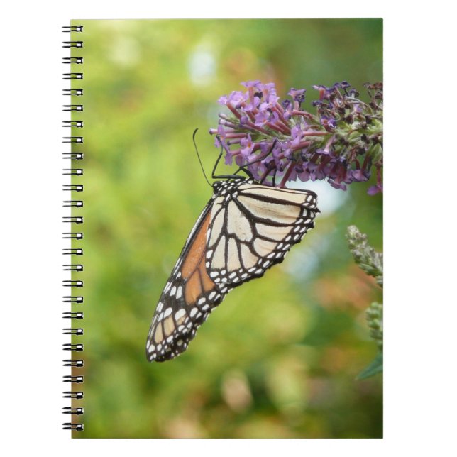 Monarch Butterfly on Purple Butterfly Bush Notebook (Front)