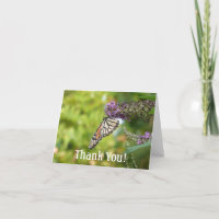 Monarch Butterfly on Purple Butterfly Bush