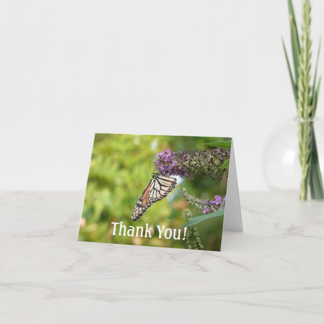 Monarch Butterfly on Purple Butterfly Bush Thank You Card (Front)