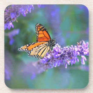 Monarch Butterfly on Purple lilac Flower Coaster