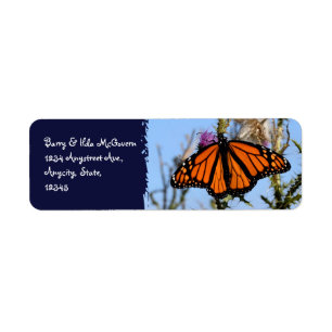 Monarch Butterfly on Purple Thistles Dark Blue