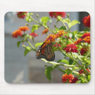 Monarch Butterfly on Red Butterfly Bush Mouse Mat