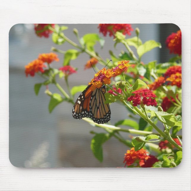Monarch Butterfly on Red Butterfly Bush Mouse Mat (Front)