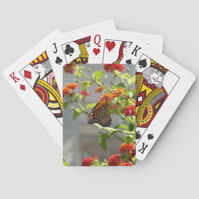 Monarch Butterfly on Red Butterfly Bush Playing Cards (Back)