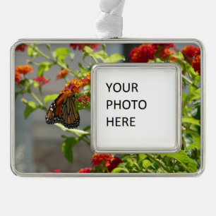 Monarch Butterfly on Red Butterfly Bush Silver Plated Framed Ornament
