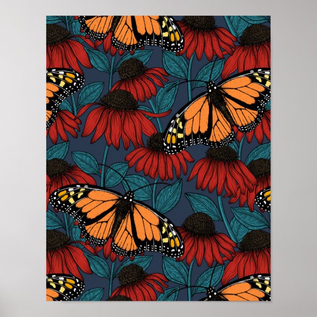 Monarch butterfly on red coneflowers poster (Front)