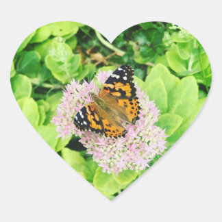 Monarch Butterfly on Stonecrop Flowers Heart Sticker