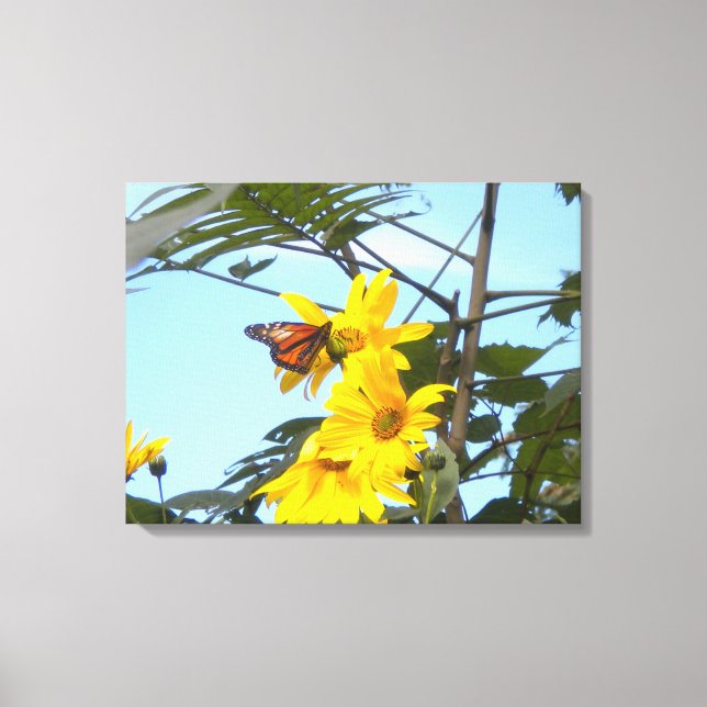 Monarch Butterfly on Sunflower wrapped canvas (Front)