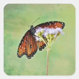 Monarch Butterfly on Wildflower Sticker