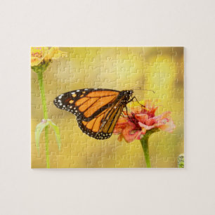Monarch Butterfly on Zinnia Jigsaw Puzzle