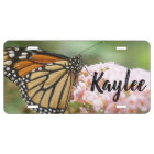 Monarch Butterfly Personalised Name