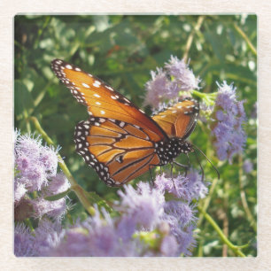 Monarch Butterfly Photo Orange Black Flower Glass Coaster