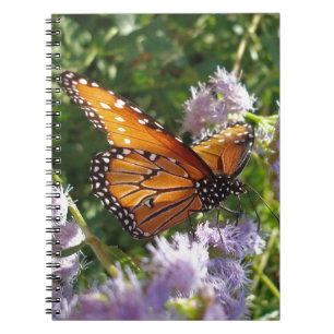 Monarch Butterfly Photo Purple Flower Nature Notebook