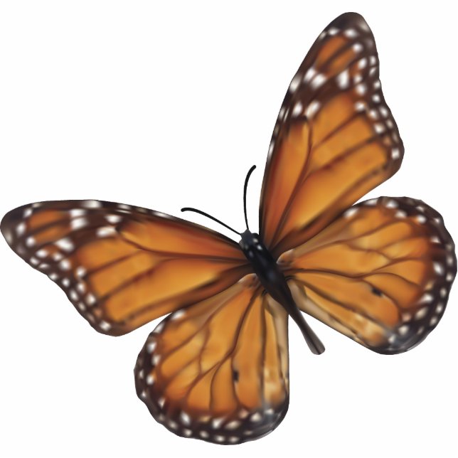 Monarch Butterfly Photo Sculpture Key Ring (Front)