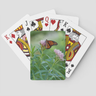 Monarch Butterfly Playing Cards
