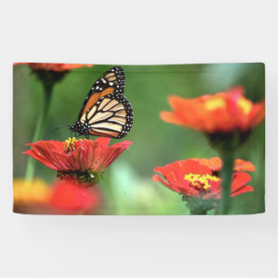 Monarch Butterfly Pollination Banner