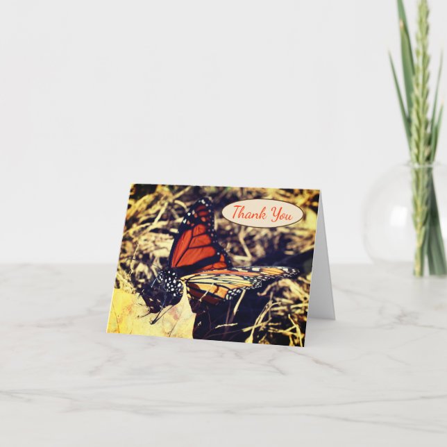 Monarch Butterfly Posing Nature Thank You Card (Front)