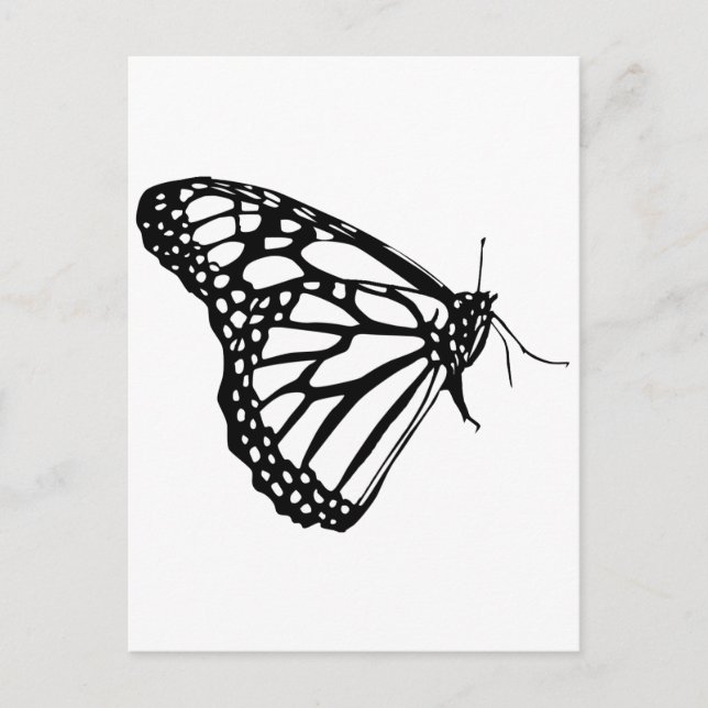 Monarch Butterfly Postcard (Front)