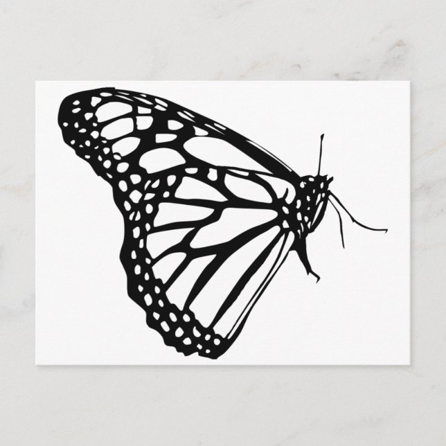 Monarch Butterfly Postcard (Front)