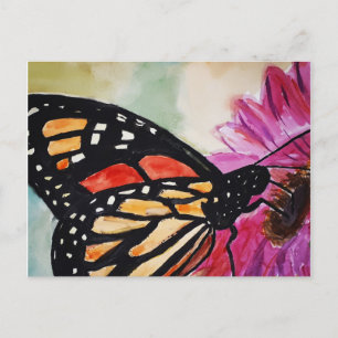 Monarch Butterfly Postcard