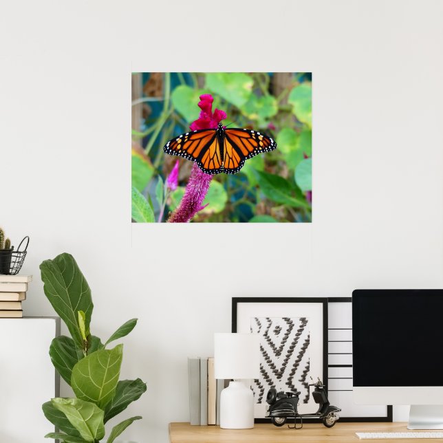 Monarch Butterfly Poster (Home Office)